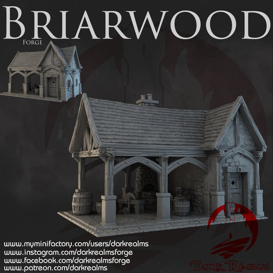 DnD Miniature, 40k Terrain, Train Terrain, Tabletop Town, Tabletop Game, Dnd Table, DND Terrain, DND Miniatures, gaming terrain, 28mm Terrain, Briarwood, Gate and walls, gatehouse, gate, walls, dnd