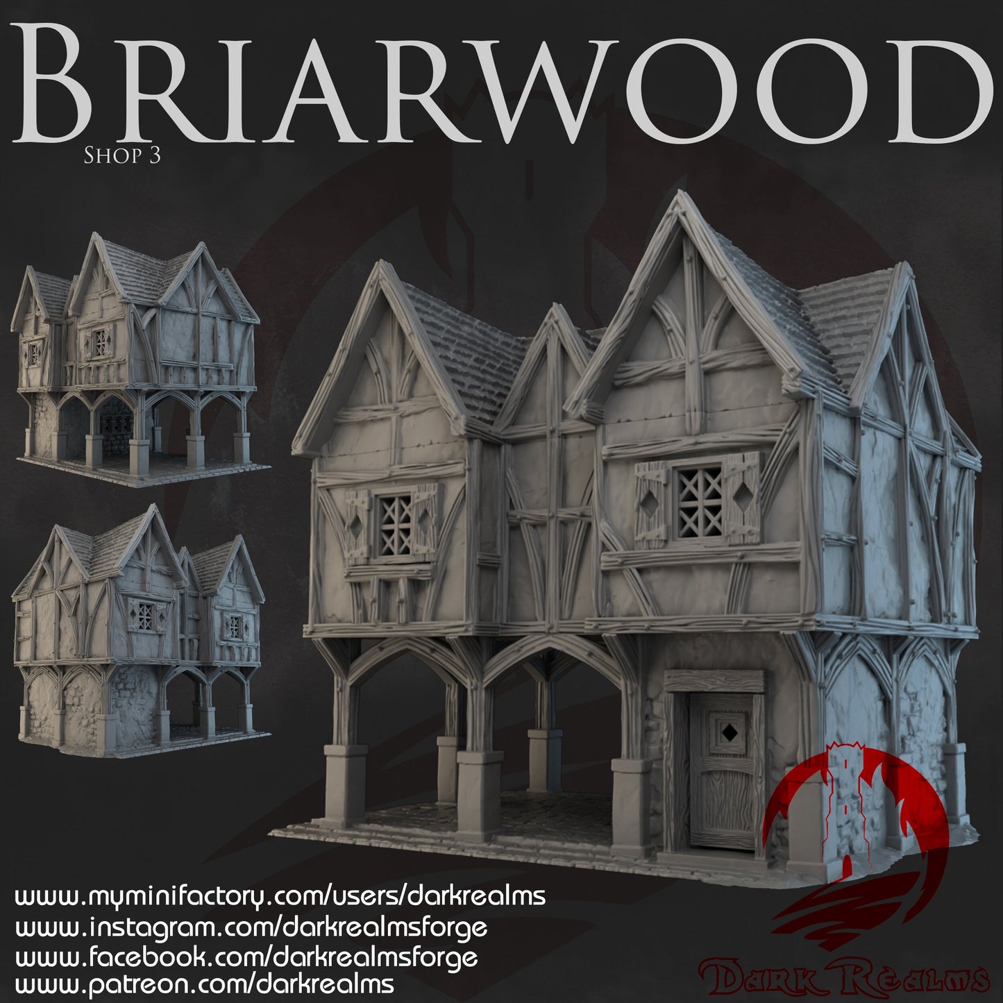 DnD Miniature, 40k Terrain, Train Terrain, Tabletop Town, Tabletop Game, Dnd Table, DND Terrain, DND Miniatures, gaming terrain, 28mm Terrain, Briarwood, Gate and walls, gatehouse, gate, walls, dnd