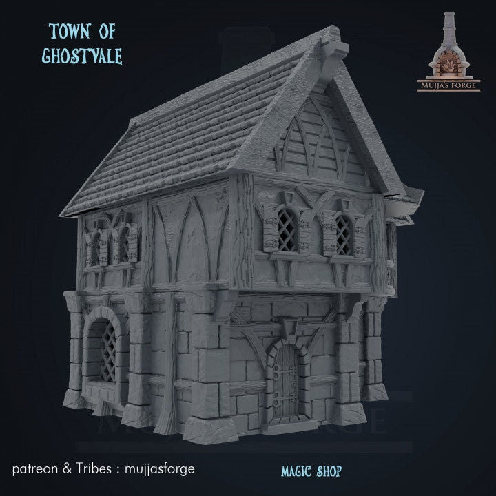 Magic Shop - Town of Ghostvale