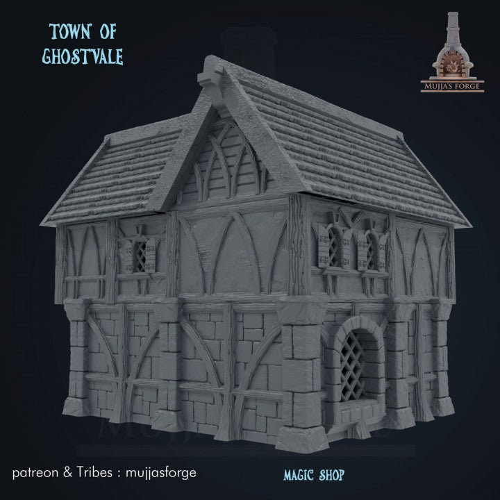 Magic Shop - Town of Ghostvale