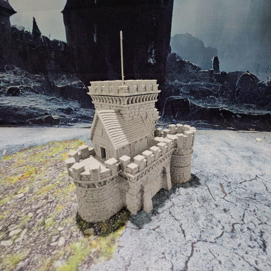 Tabletop Terrain, Mordheim, DnD, Wizard School, Tower, Wizard, Ruined, Train Set, Tabletop, Fantasy Terrain, Town Set, Town and Market, Mordheim Set, Wargaming, Dungeons and Dragons, RPG Set, Village Set, Dragon, Harry Potter, Market, College, castle