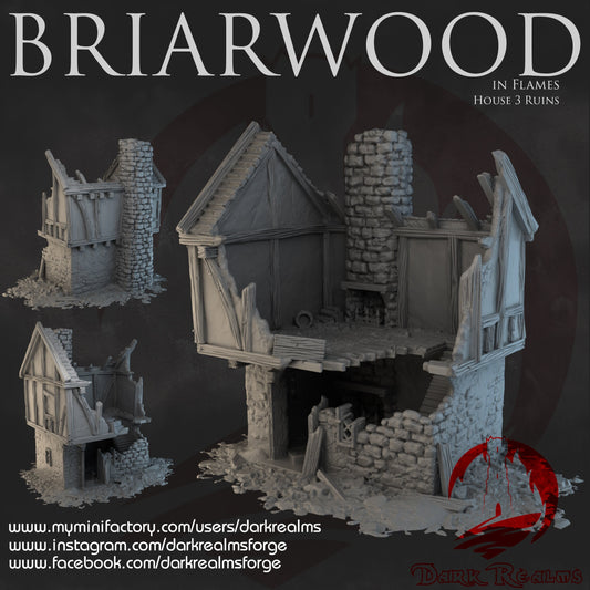 Briarwood House 3 Ruin, 28mm