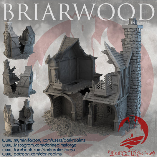 DnD Miniature, 40k Terrain, Train Terrain, Tabletop Town, Tabletop Game, Dnd Table, DND Terrain, DND Miniatures, gaming terrain, 28mm Terrain, Briarwood, Gate and walls, gatehouse, gate, walls, dnd