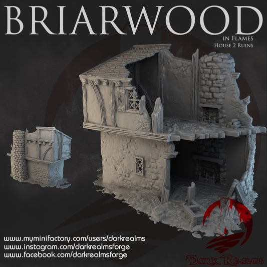 DnD Miniature, 40k Terrain, Train Terrain, Tabletop Town, Tabletop Game, Dnd Table, DND Terrain, DND Miniatures, gaming terrain, 28mm Terrain, Briarwood, Gate and walls, gatehouse, gate, walls, dnd