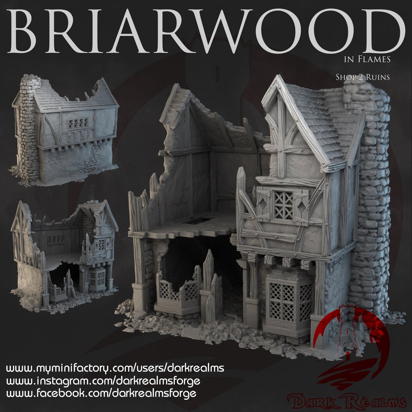 DnD Miniature, 40k Terrain, Train Terrain, Tabletop Town, Tabletop Game, Dnd Table, DND Terrain, DND Miniatures, gaming terrain, 28mm Terrain, Briarwood, Gate and walls, gatehouse, gate, walls, dnd